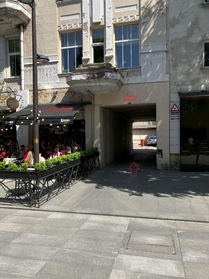 Ingos Laisves Al. Apartamentai Kaunas Luaran gambar